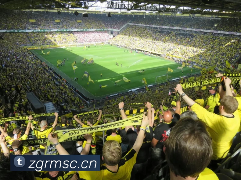 完美体育 - 完美(中国)品牌故事